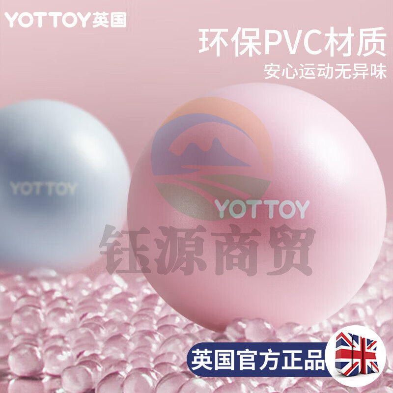 Yottoy 普拉提小球瑞士瑜伽球迷你45cm健身体操运动平衡球女