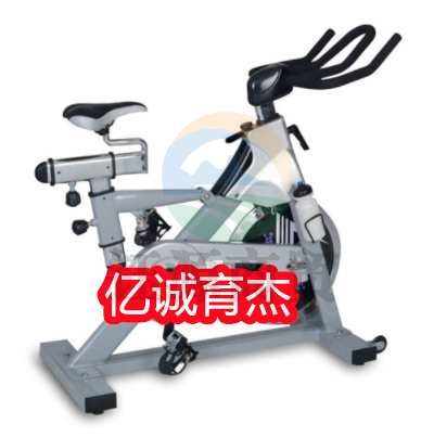 康林 动感竞赛单车 健身车家用动感单车 室内静音脚踏车健身单车 FD9873