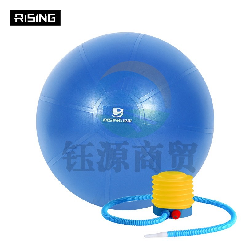 锐思 健身球 蓝色65cm直径瑞士球 感统及核心训练瑜伽球