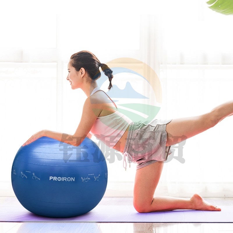 PROIRON 教学瑜伽球 健身球加厚防滑防爆初学者男女通用儿童孕妇分娩助产球普拉提平衡球65CM蓝色