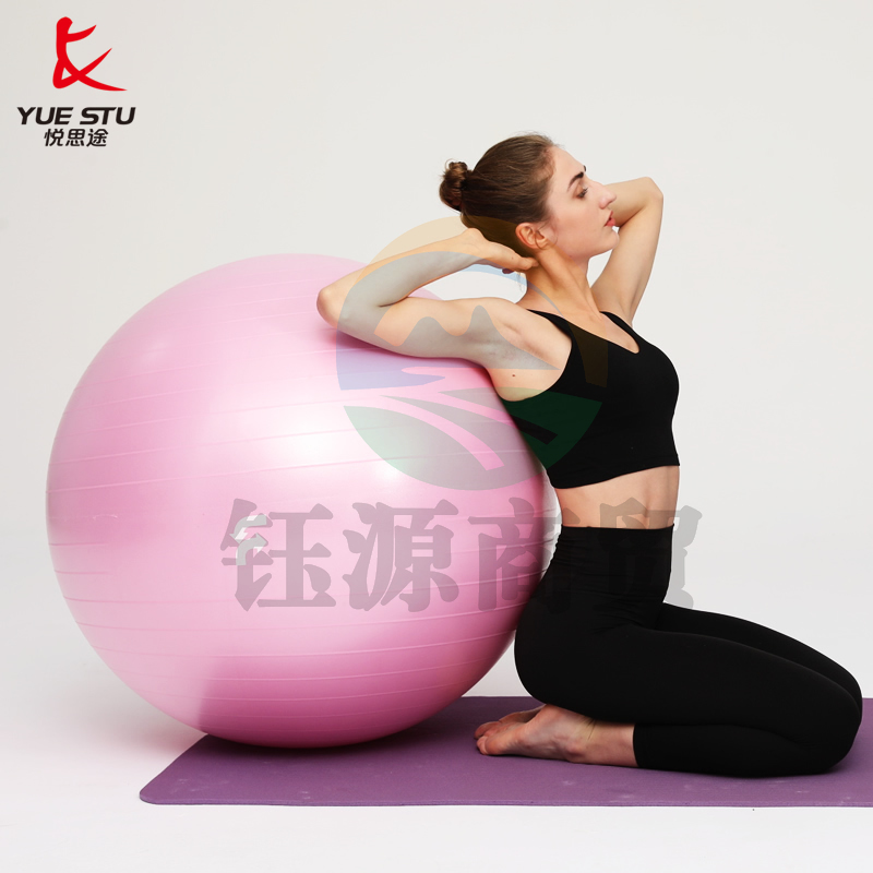 悦思途 瑜伽球健身球加厚防爆正品儿童感统训练大龙球平衡弹力球 55cm粉色