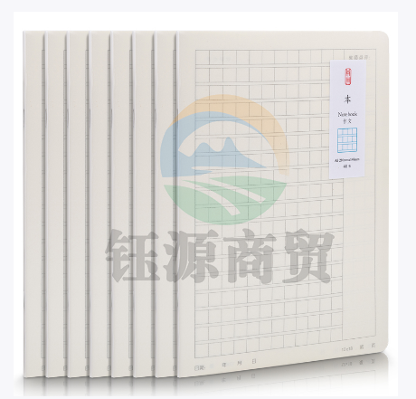 得力DPA540PP骑马钉本(作文)(8本)