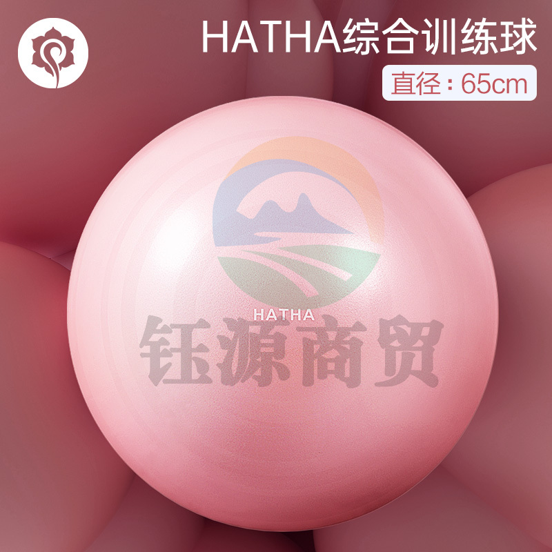 哈他瑜伽球65cm专业防爆材质孕妇助产防滑防爆健身球大龙球平衡弹力球