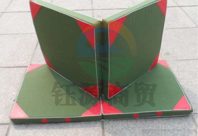WLD一7037 体操垫 2块一组