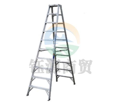 稳耐（werner）T310CN铝合金双侧梯 