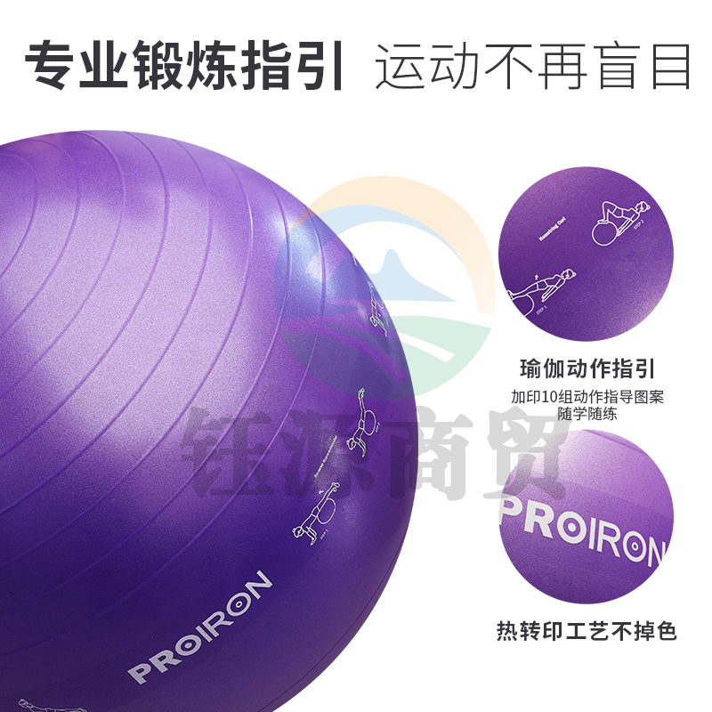 PROIRON 教学瑜伽球 健身球加厚防滑防爆初学者男女通用儿童孕妇分娩助产球普拉提平衡球55CM紫色