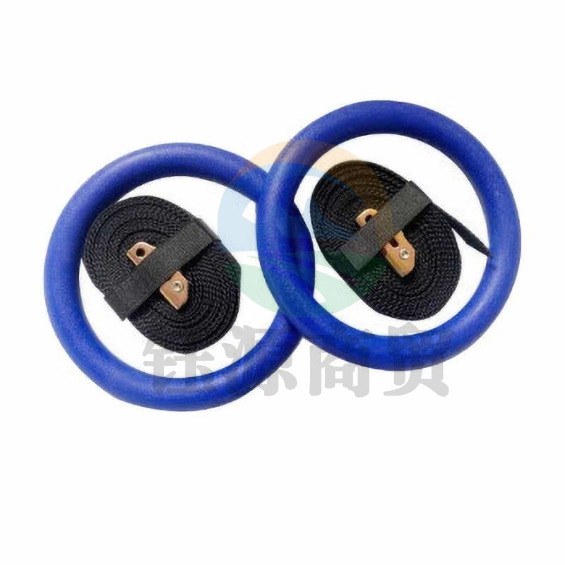 兵翼 健身成人体操训练引体向上室内健身器材 高配蓝色吊环+织带+手胶+304膨胀环