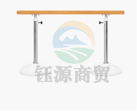 舞蹈把X-RIVAL压腿把杆儿童家用移动把杆舞固定式升降式把杆舞蹈 白色(移动款)1.