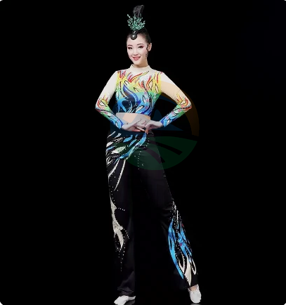 体操比赛服大众健身操啦啦操演出服