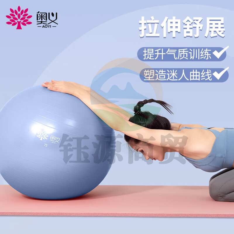 奥义瑜伽球75cm加厚防滑健身球防爆孕妇助产弹力球含全套充气装备