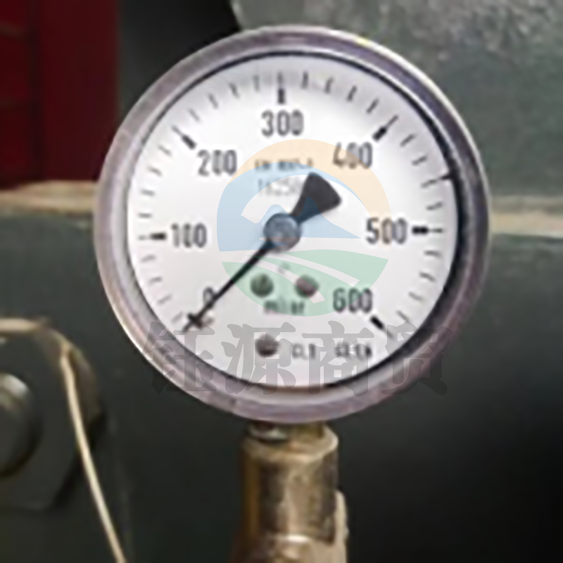 万达佛斯特 YE-60 x 600 不锈钢膜合压力表（燃气）