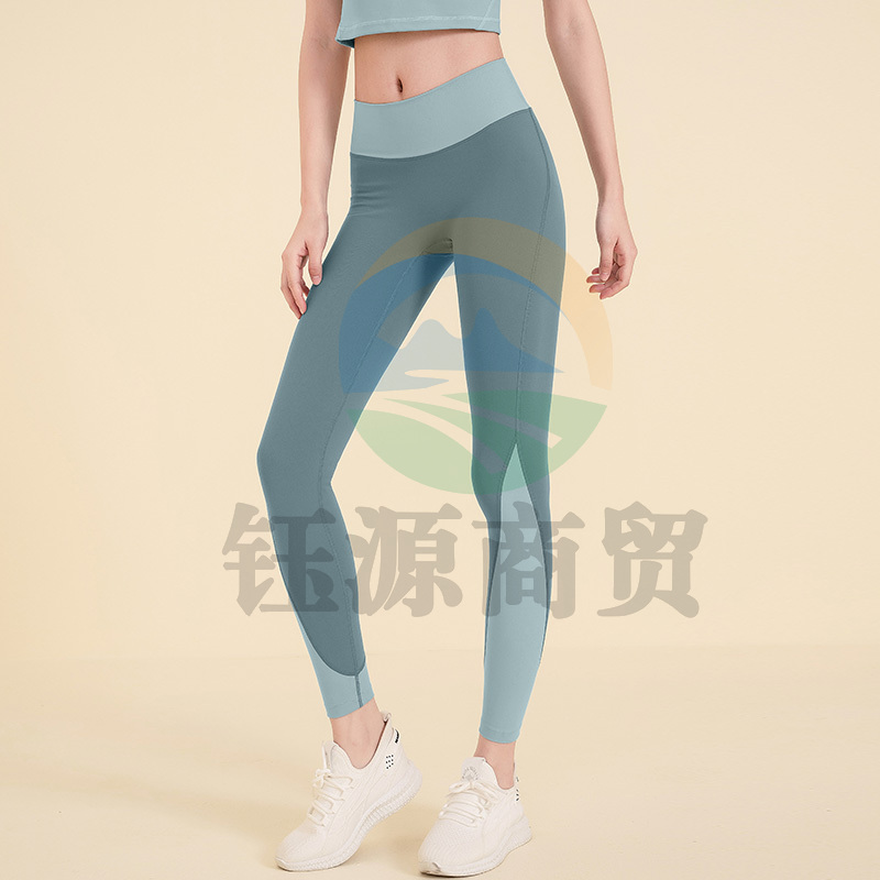 范迪慕（FANDIMU）瑜伽裤女运动紧身裤高腰提臀收腹弹力健身跑步体操瑜伽服 雾蓝-XL