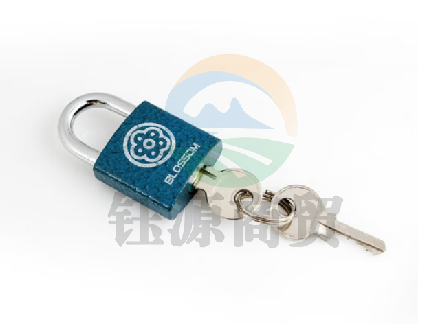 梅花(BLOSSOM)抽屉锁挂锁工具箱室内小锁宿舍柜子门锁电表箱锁BC2925蓝25MM    WLSZ12131011088611