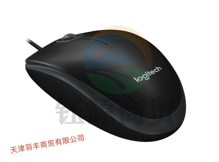 罗技(Logitech)B100企业版 鼠标 有线鼠标 办公鼠标 对称鼠标 黑色