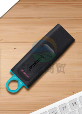 金士顿 64GB USB3.2 Gen U盘 DTX   WLSZ01142151381351