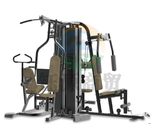 六人站综合训练器6014