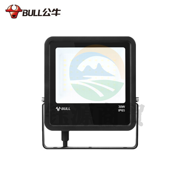 公牛 LED投光灯 户外庭院工地园林照明灯 IP65防水室外灯大功率高亮度30W-6500K白光 一个价