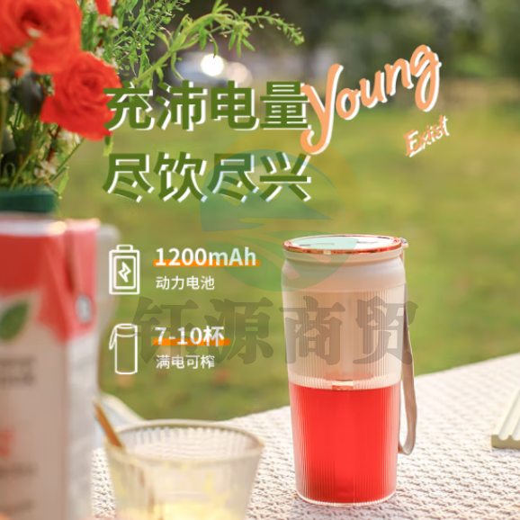 荣事达（Royalstar）榨汁机家用小型便携式无线水果电动榨汁杯料理机多功能迷你果汁机RZ-28M2胡椒白