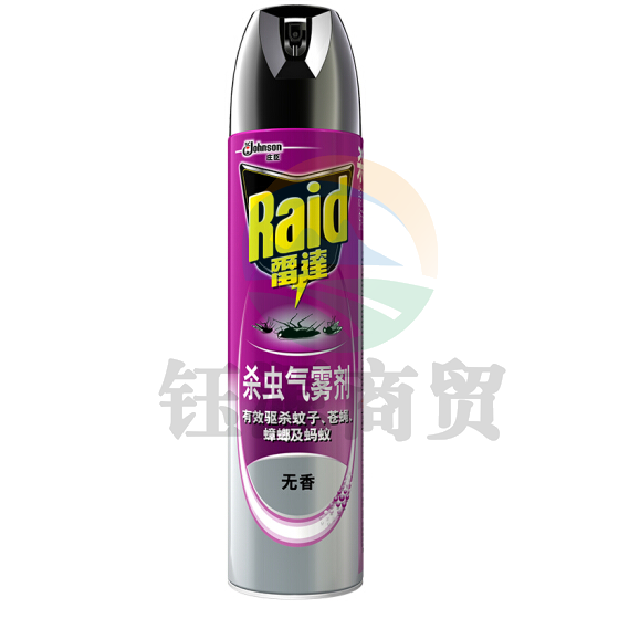 雷达(RAID) 600ml 无香喷雾杀虫剂 24瓶/箱