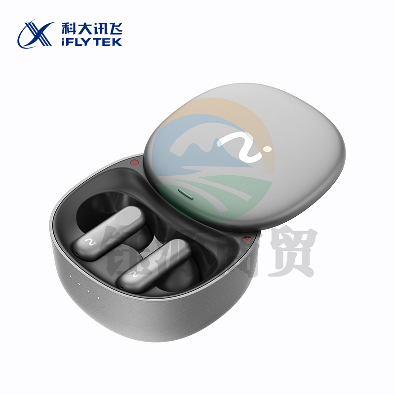 科大讯飞 XFXK-A03​ iFLYBUDS Pro录音降噪会议耳机 无线蓝牙耳机 主动降噪 入耳式 超长续航 录音转文字
