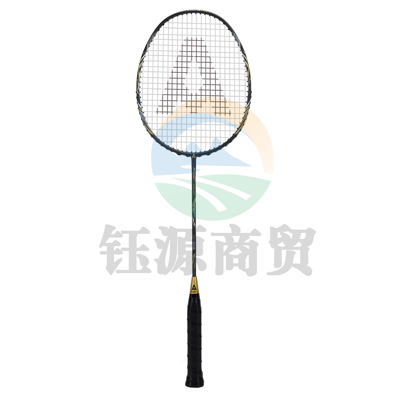 安格耐特F2123羽毛球拍全碳素超轻(黑色)