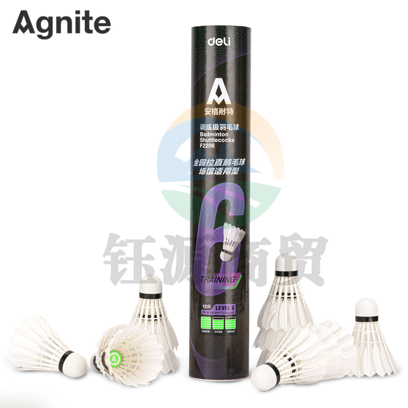 安格耐特F2206羽毛球(白色)(12个/筒)
