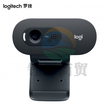 罗技(Logitech) C505e 高清网络摄像头 电脑办公摄像头 视频会议网课在线远程教育摄像头 C505e     WLSZ07102154466316