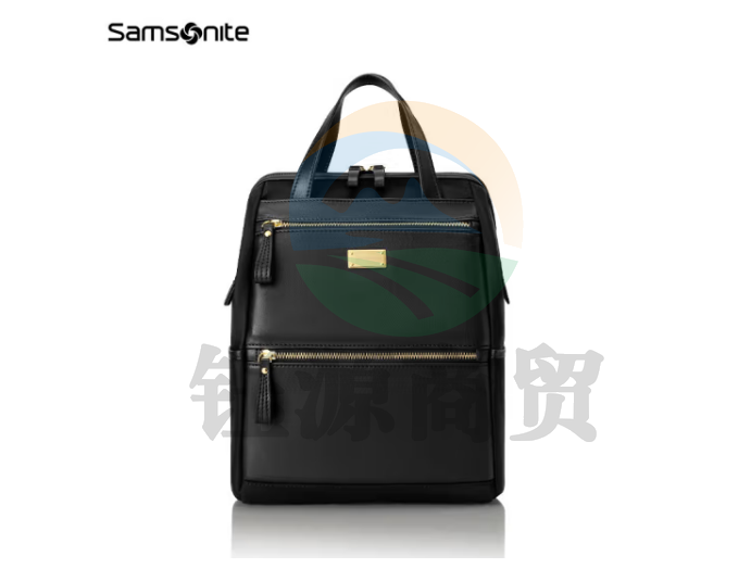 新秀丽（Samsonite）电脑包23年上新休闲双肩背包可手提包BT5*09004黑色中号