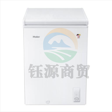 海尔冰柜BC/BD-100HDB 3D逆循坏深度制冷节能省电 白色
