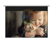 得力50454电动遥控白塑幕布100英寸(16:9)(黑色)(个)