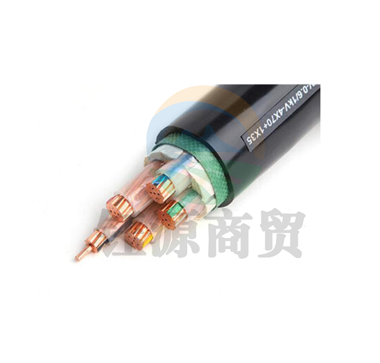 津达线缆 国标2芯YJV电力电缆 硬线 电线 电缆 1M 津达线缆 YJV2*25平方黑色1米