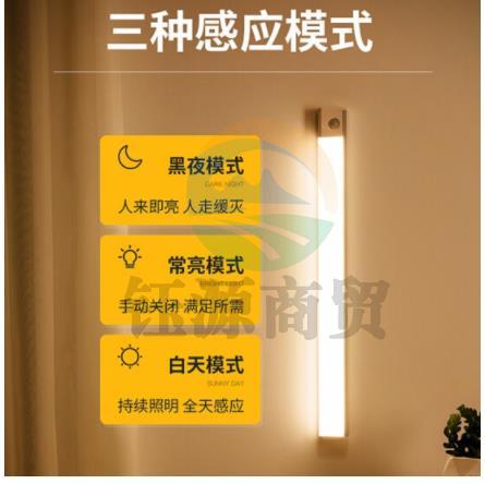 美的（Midea）人体感应灯LED宿舍衣柜橱柜厨房吸附长条酷毙灯条小夜灯标准