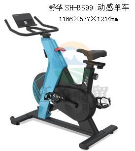 舒华SH-B599 动感单车