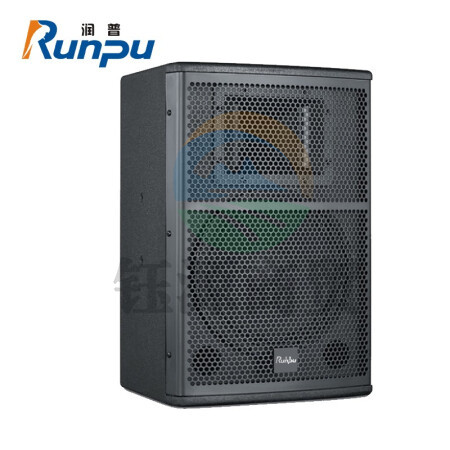 润普RP-AM10 会议室音响/10英寸音箱（全频音箱）一对