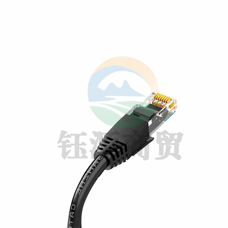 山泽（SAMZHE)TZB-61000CAT6类六类千兆八芯网线黑色100米