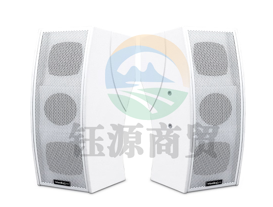 教学扩声系统音箱 SP590