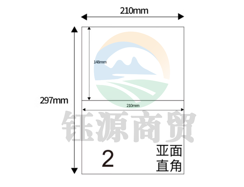 天章（TANGO）A4不干胶黄底哑面背胶纸 标签贴纸 直角2枚/张(单枚210mm*148.5mm) 80张/盒装