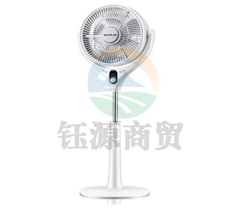 先锋（Singfun）蒲扇遥控静音落地扇FTS30-17DR