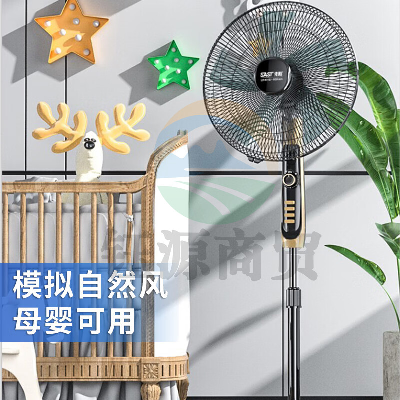 先科（SAST）电风扇/落地扇/空气流通/工业落地扇/工程家用风扇/五叶大风量风扇262-18A