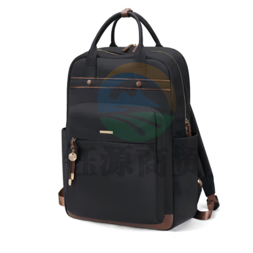 高尔夫（GOLF）双肩包女15.6英寸笔记本电脑包商务出差旅行背包大学生书包优雅黑