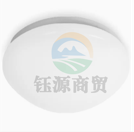 LED吸顶灯 24W 原18W尺寸 楼道灯楼梯间吸顶灯（地盘尺寸300mm）