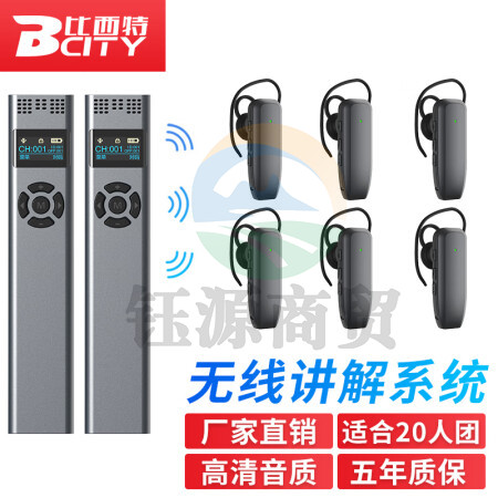 比西特919R无线讲解耳麦一对多政企接待会议讲解器一键关机导游带团电子解说器 双讲+20人听团套装