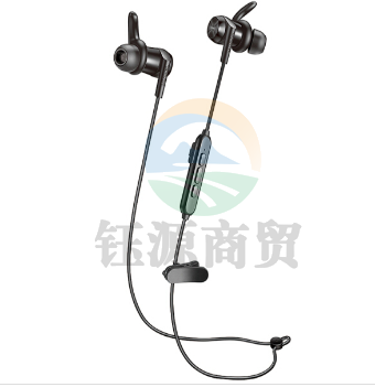 得胜（TAKSTAR）DW1 入耳式无线运动蓝牙耳机 手机耳机 磁吸入耳式耳机 音乐耳机 超长续航 哑光黑