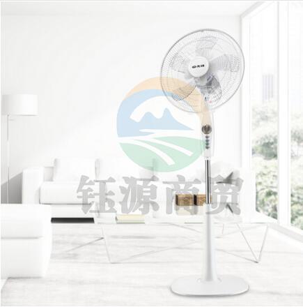 先锋（Singfun）电风扇家用节能台立式升降摇头双风叶大风量10叶落地扇FS40-16D 