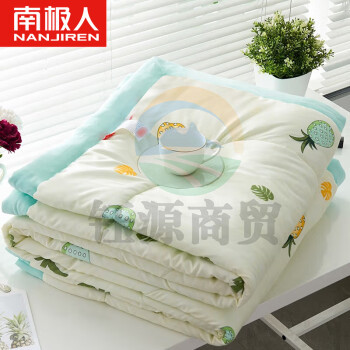 南极人 被子被芯 空调被夏被水洗棉夏凉被子空调被芯薄被子 150*200cm