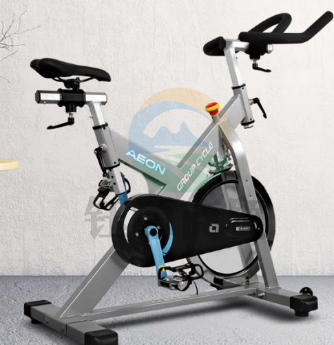 正伦B2600+动感单车