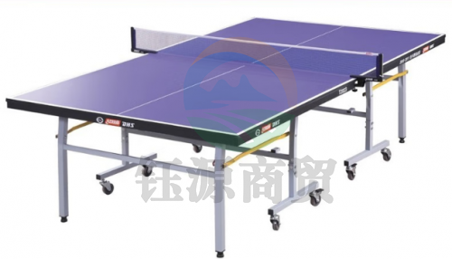 红双喜（DHS） 红双喜乒乓球桌