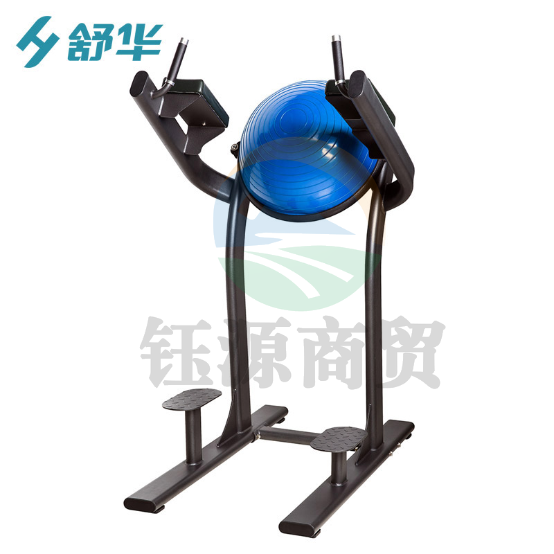 舒华 SH-6886 提腿练习器