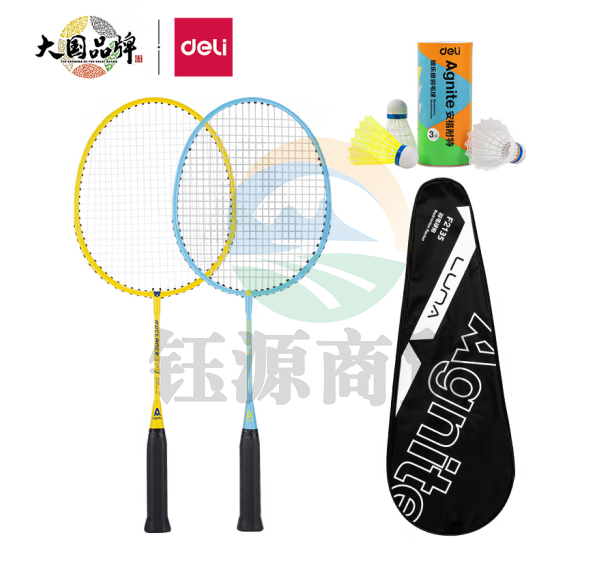 安格耐特F2135铁合金分体儿童羽毛球拍(蓝+黄)(2支副)(含三球).