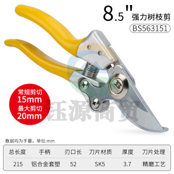 波斯（BOSI）强力款树枝剪花剪修枝园林工具粗枝剪修果树省力剪刀 BS563151（8.5寸）